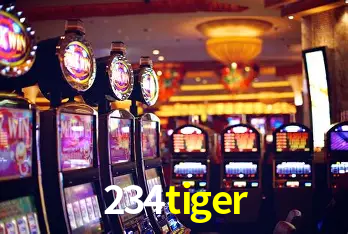 234tiger Rio de Janeiro - Bonus Terms