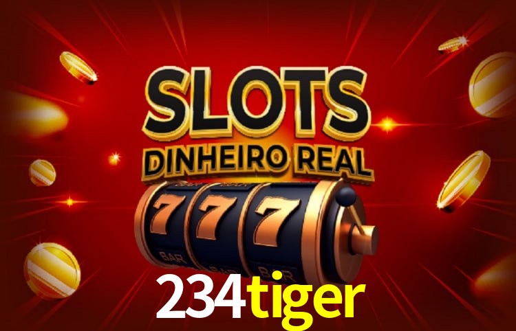 234tiger Belo Horizonte - Payments