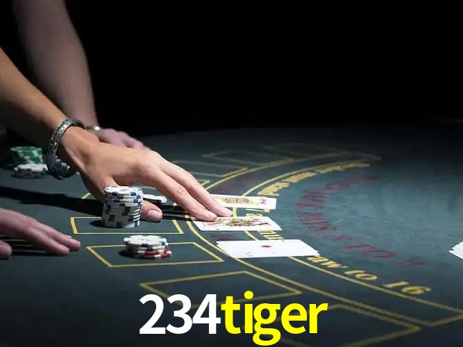 234tiger Salvador - Support